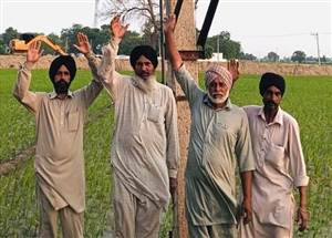ਸੱਤ ਕਿਸਾਨਾਂ ਦੇ ਟਿਊਬਵੈੱਲ ’ਤੇ ਲੰਗੇ ਟਰਾਂਸਫਾਰਮਰਾਂ ’ਚੋਂ ਸਾਮਾਨ ਕੀਤਾ ਚੋਰੀ