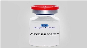 Corbevax Vaccine: Corbevax ਨੂੰ ਬੂਸਟਰ ਖ਼ੁਰਾਕ ਵਜੋਂ ਮਿਲੀ ਮਨਜ਼ੂਰੀ, 18+ ਨੂੰ ਲੱਗੇਗਾ ਇਹ ਟੀਕਾ