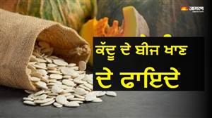 ਪੇਟ ਦੀ ਚਰਬੀ ਤੋਂ ਪਾਉਣਾ ਹੈ ਛੁਟਕਾਰਾ? ਰੋਜ਼ ਸਵੇਰੇ ਇਸ ਤਰ੍ਹਾਂ ਖਾਓ ਇਕ ਚਮਚ ਕੱਦੂ ਦੇ ਬੀਜ, ਕੁਝ ਹੀ ਦਿਨਾਂ 'ਚ ਦਿਸੇਗਾ ਅਸਰ