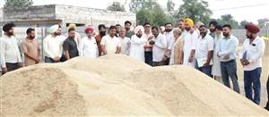 ਚੇਅਰਮੈਨ ਨੇ ਸ਼ੇਰਮਾਜਰਾ ’ਚ ਝੋਨੇ ਦੀ ਸਰਕਾਰੀ ਖਰੀਦ ਸ਼ੁਰੂ ਕਰਵਾਈ