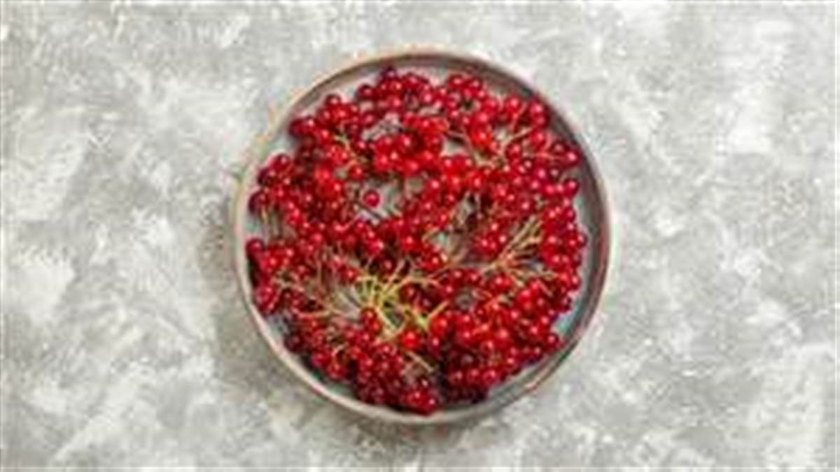 Cranberry Benefits: ਭਾਰ ਘਟਾਉਣ ਤੋਂ ਲੈ ਕੇ ਦੰਦਾਂ ਨੂੰ ਮਜ਼ਬੂਤ ਕਰਨ ਤੱਕ, ਜਾਣੋ ਛੋਟੇ ਜਿਹੇ ਕਰੌਂਦੇ ਦੇ ਵੱਡੇ ਫਾਇਦੇ