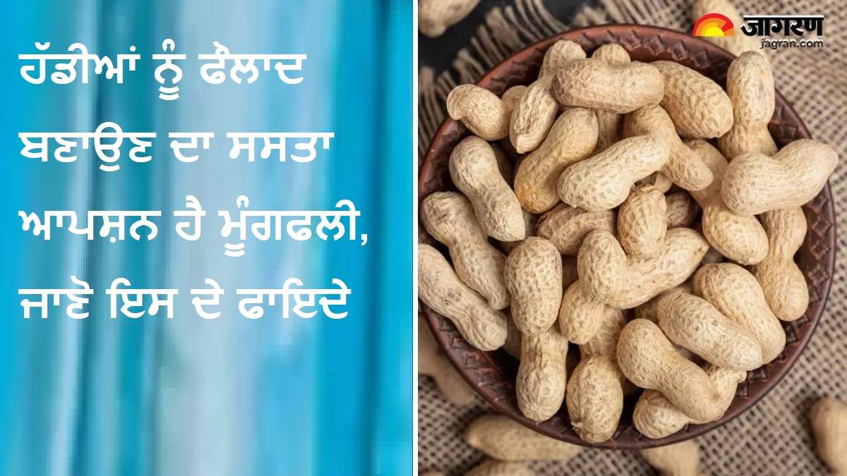Moongfali Ke Fayde : ਹੱਡੀਆਂ ਨੂੰ ਫੌਲਾਦ ਬਣਾਉਣ ਦਾ ਸਸਤਾ ਆਪਸ਼ਨ ਹੈ ਮੂੰਗਫਲੀ, ਜਾਣੋ ਇਸ ਦੇ ਫਾਇਦੇ