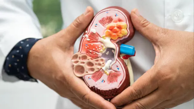 ਦੇਰ ਰਾਤ ਤੱਕ ਜਾਗਣਾ,Painkillers ਤੇ ਮਾੜਾ ਖਾਣ-ਪੀਣ, ਤੁਹਾਡੀਆਂ ਇਹ ਆਦਤਾਂ ਚੁੱਪ-ਚਾਪ ਖ਼ਰਾਬ ਕਰ ਸਕਦੀਆਂ ਹਨ ਤੁਹਾਡੀ ਕਿਡਨੀ