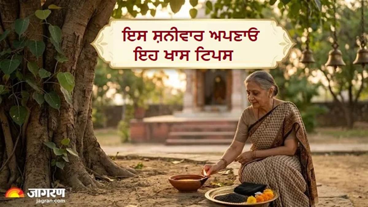 ਸ਼ਨੀਵਾਰ ਨੂੰ ਪਿੱਪਲ ਹੇਠਾਂ ਸਿਰਫ਼ ਦੀਵਾ ਨਹੀਂ, ਨਾਲ ਜ਼ਰੂਰ ਕਰੋ ਇਹ ਕੰਮ, ਚਮਕ ਜਾਵੇਗੀ ਸੁੱਤੀ ਹੋਈ ਕਿਸਮਤ