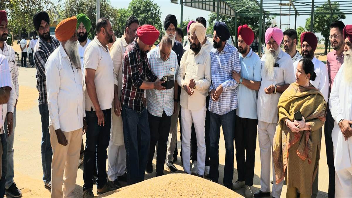 ਵਿਧਾਇਕ ਡਾ.ਚਰਨਜੀਤ ਨੇ ਸ਼ੁਰੂ ਕਰਵਾਈ ਕਣਕ ਦੀ ਖਰੀਦ