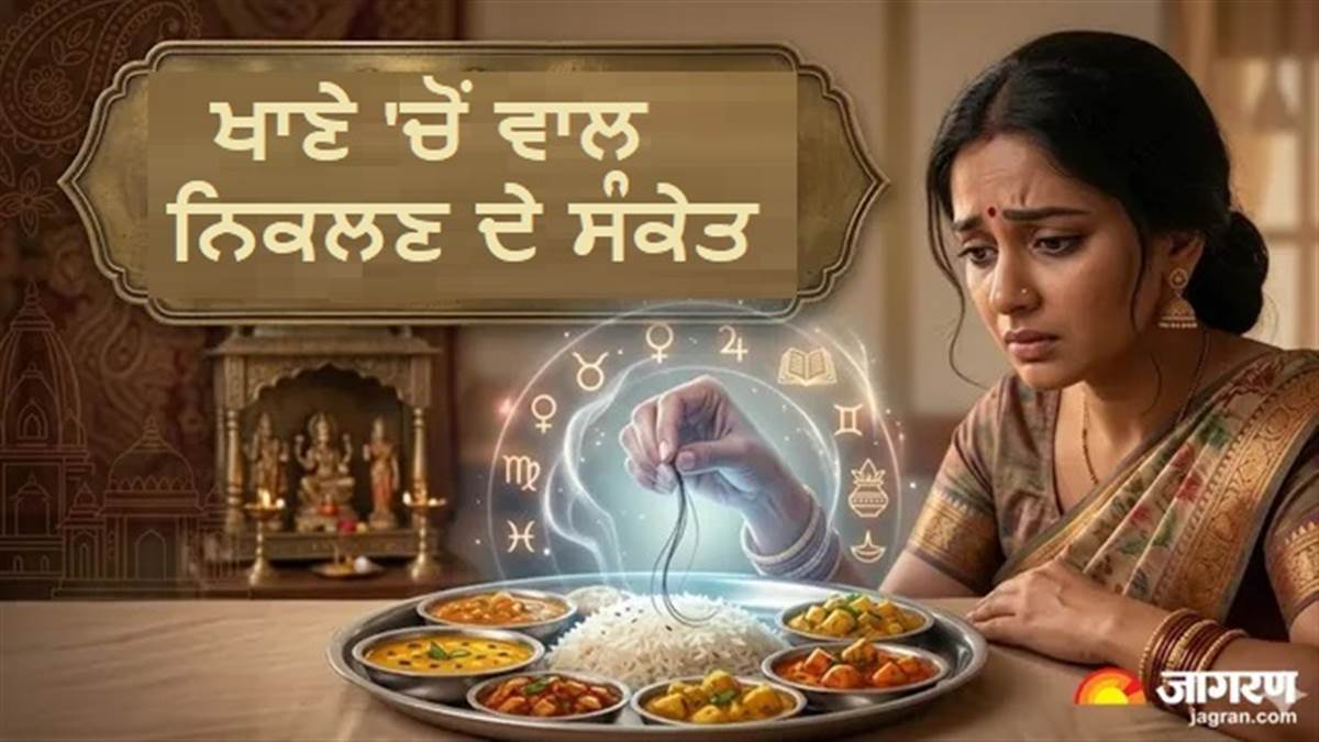 ਰਾਹੂ ਦਾ ਸਾਇਆ ਜਾਂ ਪਿੱਤਰਾਂ ਦੀ ਨਾਰਾਜ਼ਗੀ? ਖਾਣੇ 'ਚ ਵਾਰ-ਵਾਰ ਨਿਕਲ ਰਿਹਾ ਹੈ ਵਾਲ, ਸਮਝ ਲਓ ਸ਼ੁਰੂ ਹੋਣ ਵਾਲੇ ਹਨ ਬੁਰੇ ਦਿਨ