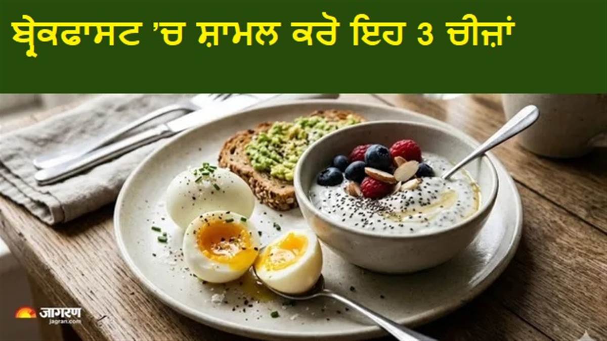 ਸਿਰਫ਼ ਪੇਟ ਨਹੀਂ ਭਰੇਗਾ, ਤੁਹਾਡੀ ਗਟ ਹੈਲਥ ਵੀ ਸੁਧਾਰੇਗਾ ਤੁਹਾਡਾ ਨਾਸ਼ਤਾ; ਬੱਸ ਡਾਈਟ ’ਚ ਸ਼ਾਮਲ ਕਰੋ ਇਹ 3 ਸੁਪਰਫੂਡਜ਼