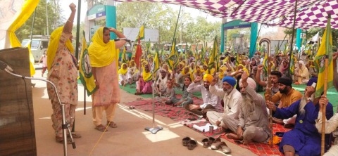 ਕਾਲੇ ਕਾਨੂੰਨ ਲਾਗੂ ਕਰਨ ਲਈ ਭਾਜਪਾ ਹੋ ਰਹੀ ਹੈ ਤਰਲੋ ਮੱੱਛੀ