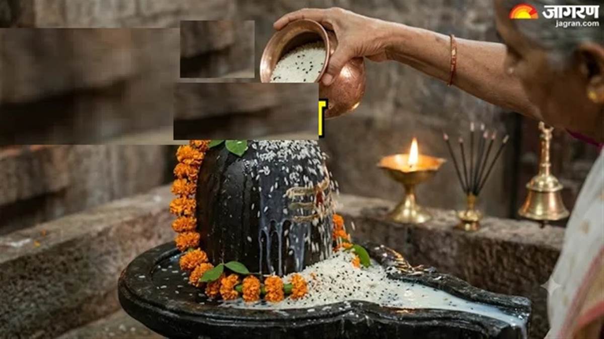 ਮਹਾਦੇਵ ਦੀ ਕਿਰਪਾ ਨਾਲ ਵਧੇਗੀ ਸੁਖ-ਸਮ੍ਰਿੱਧੀ, ਭਗਵਾਨ ਸ਼ਿਵ ਦੀ ਪੂਜਾ 'ਚ ਚੌਲਾਂ ਦਾ ਵਿਸ਼ੇਸ਼ ਸਥਾਨ; ਲਕਸ਼ਮੀ ਦੇ ਵਾਸ ਲਈ ਅਪਣਾਓ ਇਹ ਵਿਧੀ
