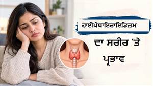 ਥਾਇਰਾਇਡ ਦੀ ਸਮੱਸਿਆ ਨੂੰ ਸਿਰਫ਼ TSH ਤੱਕ ਨਾ ਸਮਝੋ, ਹਾਈਪੋਥਾਇਰਾਇਡਿਜ਼ਮ ਦਾ ਬਲੱਡ ਪ੍ਰੈਸ਼ਰ ਤੇ ਦਿਲ ਦੀ ਸਿਹਤ ਨਾਲ ਵੀ ਹੈ ਡੂੰਘਾ ਸਬੰਧ