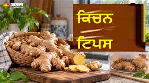 ਬਰਸਾਤ ਦੇ ਦਿਨਾਂ 'ਚ ਖ਼ਰਾਬ ਹੋ ਜਾਂਦੈ ਅਦਰਕ? ਮਹੀਨੇ ਭਰ ਬਿਲਕੁਲ ਤਾਜ਼ਾ ਰੱਖਣ ਲਈ ਅਪਣਾਓ ਇਹ 3 ਆਸਾਨ ਟਿਪਸ