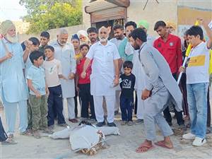 ਕਾਮਰੇਡਾਂ ਨੇ ਮੁੱਖ ਚੋਣ ਕਮਿਸ਼ਨਰ ਦਾ ਪੁਤਲਾ ਫੂਕ ਕੇ ਕੀਤਾ ਰੋਸ ਪ੍ਰਦਰਸ਼ਨ