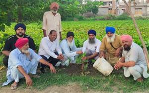 ਲੈਕਚਰਾਰ ਤੇਜਿੰਦਰ ਸਿੰਘ ਜਸ਼ਨ ਸਟੇਟ ਐਵਾਰਡੀ ਨੇ ਪੌਦੇ ਲਗਵਾਏ