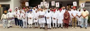ਪਰਗਟ ਸਿੰਘ ਦੀ ਪ੍ਰਧਾਨਗੀ ਹੇਠ ਕਾਂਗਰਸ ਹੋਵੇਗੀ ਹੋਰ ਮਜ਼ਬੂਤ : ਸ਼ਮਸ਼ਪੁਰ