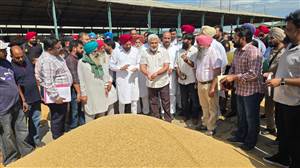 ਝੋਨੇ ਦੀ ਖਰੀਦ ਦਾ ਜਾਇਜ਼ਾ : ਕੈਬਨਿਟ ਮੰਤਰੀ ਲਾਲ ਚੰਦ ਕਟਾਰੂਚੱਕ ਦਾ ਦਾਅਵਾ, 24 ਘੰਟਿਆਂ ਦੇ ਅੰਦਰ ਕਿਸਾਨਾਂ ਦੇ ਖਾਤਿਆਂ 'ਚ ਪਹੁੰਚ ਰਹੀ ਹੈ ਅਦਾਇਗੀ