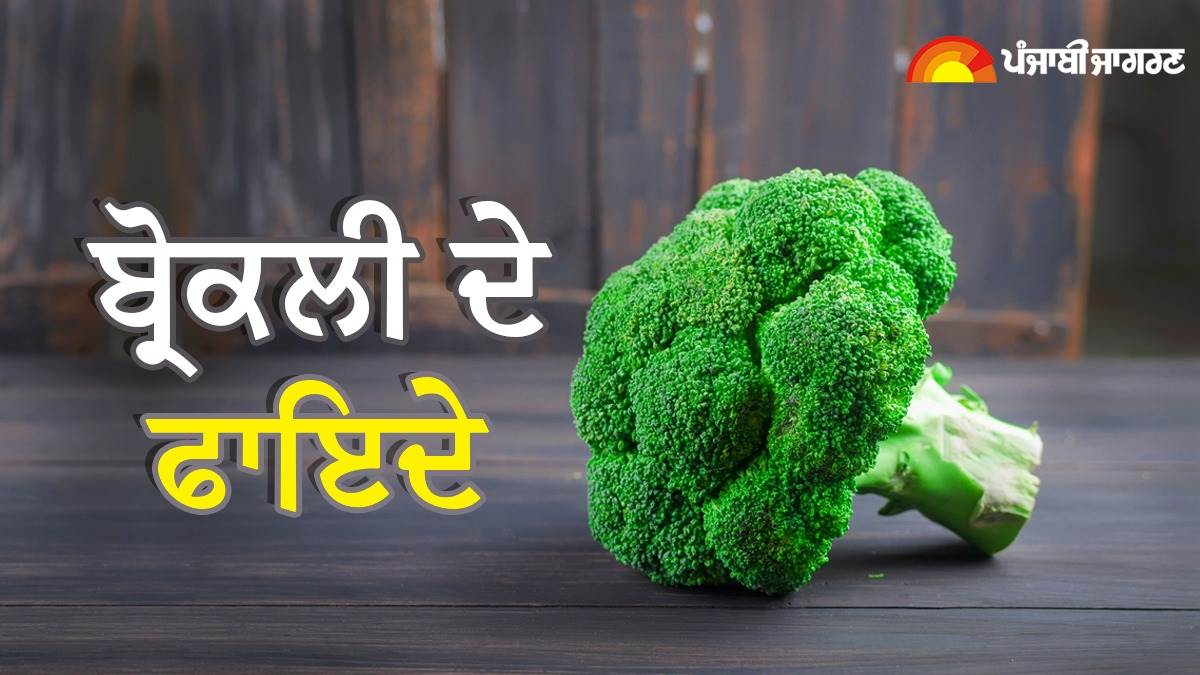 Broccoli Benefits ਗੁਣਾਂ ਦਾ ਖਜ਼ਾਨਾ ਹੈ ਬ੍ਰੋਕਲੀ, ਸਿਹਤ ਤੋਂ ਲੈ ਕੇ ਸਕਿਨ ਤਕ