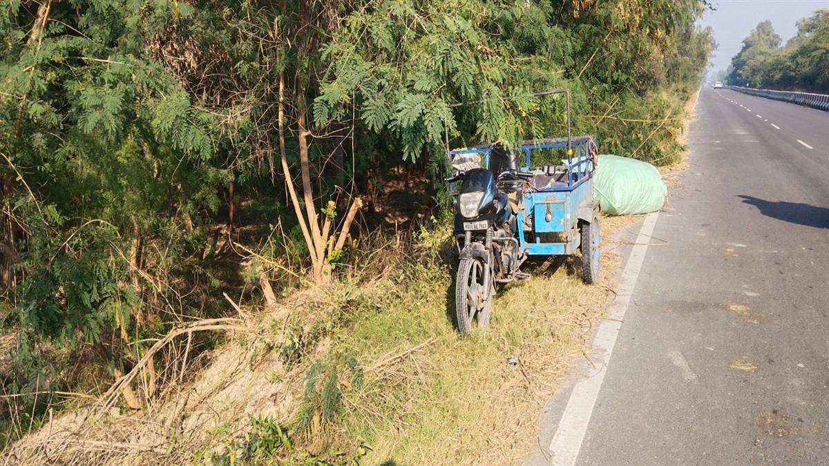 ਹਰੀਆਂ-ਭਰੀਆਂ ਦਰੱਖਤਾਂ ਦੀਆਂ ਟਾਹਣੀਆਂ ਦੀ ਹੋ ਰਹੀ ਕਟਾਈ