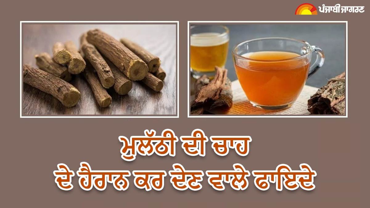 Mulethi Tea Benefits : ਸਰੀਰ ਦੀਆਂ ਇਕ-ਦੋ ਨਹੀਂ, ਕਈ ਪਰੇਸ਼ਾਨੀਆਂ ਦੂਰ ਕਰਦੀ ਹੈ ਮੁਲੱਠੀ ਦੀ ਚਾਹ