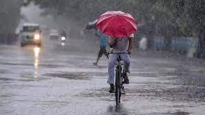 Weather Update : ਕਈ ਸੂਬਿਆਂ 'ਚ ਵਿਗੜਿਆ ਮੌਸਮ, ਪ੍ਰੀ ਮੌਨਸੂਨ ਦੀਆਂ ਗਤੀਵਿਧੀਆਂ ਹੁਣ ਤੋਂ ਹੀ ਸ਼ੁਰੂ; Climate Change ਵੱਡੀ ਵਜ੍ਹਾ