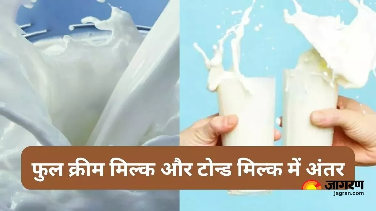 ਫੁੱਲ ਕਰੀਮ ਦੁੱਧ ਤੇ ਟੋਨਡ ਦੁੱਧ, ਕਿਹੜਾ ਹੈ ਬਿਹਤਰ?; ਜਾਣੋ ਕੀ ਹੈ ਫਰਕ