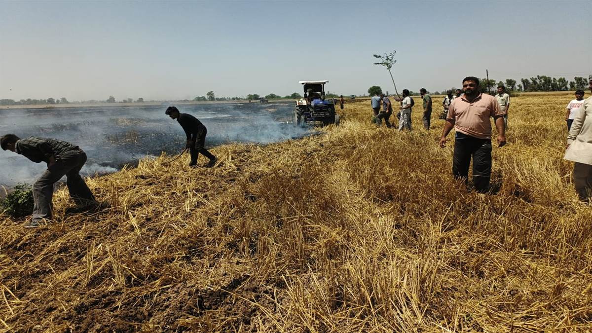 ਚੰਗਿਆਡ਼ੇ ਨਾਲ ਨਾਡ਼ ਨੂੰ ਲੱਗੀ ਅੱਗ, ਕਈ ਏਕਡ਼ ਨਾਡ਼ ਸਡ਼ਿਆ