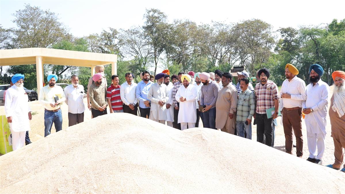ਕਣਕ ਦੀ ਖਰੀਦ ਲਈ ਕੀਤੇ ਗਏ ਪੁਖਤਾ ਪ੍ਰਬੰਧ : ਬਰਸਟ