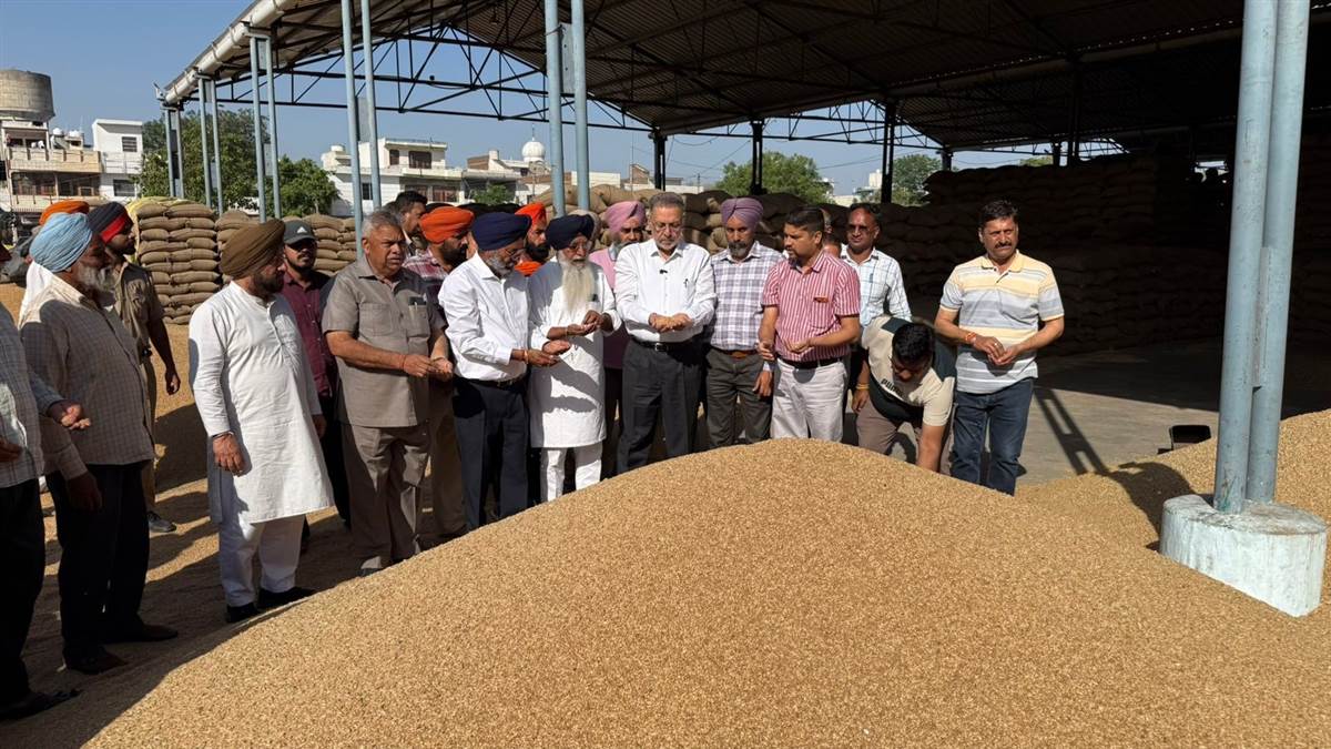 ਮੰਡੀਆਂ ’ਚੋਂ ਇੱਕ-ਇੱਕ ਦਾਣਾ ਖਰੀਦਿਆ ਜਾਵੇਗਾ : ਡਾ. ਬਲਬੀਰ ਸਿੰਘ