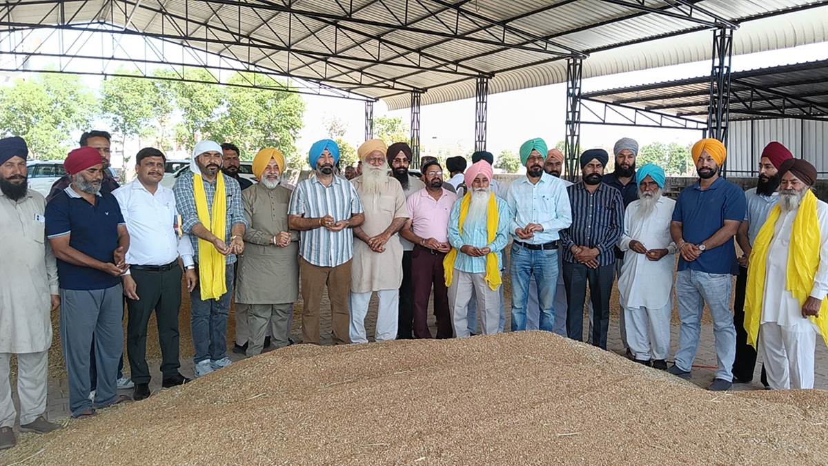 ਰਣਜੋਧ ਹਡਾਣਾ ਨੇ ਕਣਕ ਦੀ ਖਰੀਦ ਸ਼ੁਰੂ ਕਰਵਾਈ