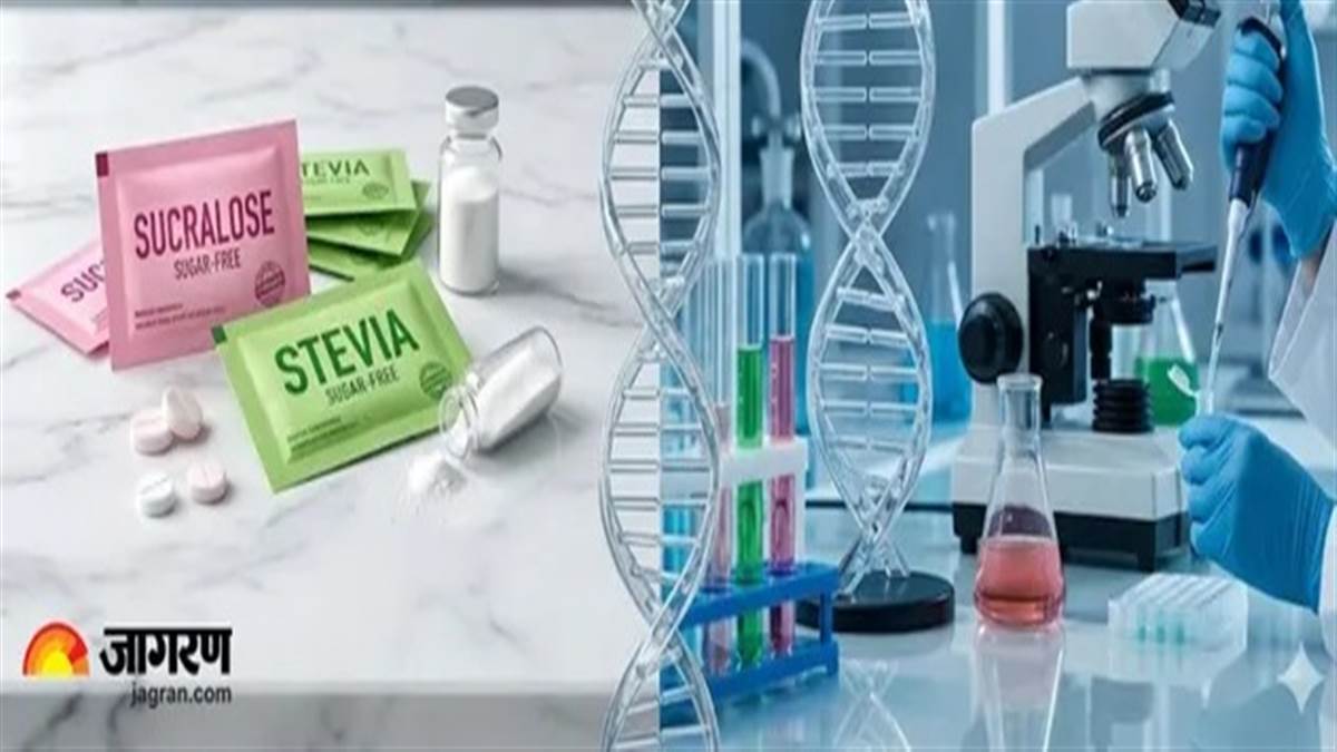 ਕੀ ਤੁਸੀਂ ਵੀ ਲੈਂਦੇ ਹੋ ਆਰਟੀਫੀਸ਼ੀਅਲ ਸਵੀਟਨਰ? ਸਟੱਡੀ ਕਹਿੰਦੀ ਹੈ- ਖ਼ਤਰੇ 'ਚ ਹੈ ਆਉਣ ਵਾਲੀਆਂ ਪੀੜ੍ਹੀਆਂ ਦਾ ਭਵਿੱਖ