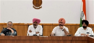 308.80 ਕਰੋੜ ਰੁਪਏ ਦੇ 1362 ਵਿਕਾਸ ਕਾਰਜ ਮੁਕੰਮਲ: ਚੀਮਾ