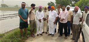 ਮੀਂਹ ਤੋਂ ਪ੍ਰਭਾਵਿਤ ਕਿਸਾਨਾਂ ਦੀ ਹਲਕਾ ਮੁਖੀ ਪ੍ਰੇਮ ਅਰੋੜਾ ਨੇ ਲਈ ਸਾਰ