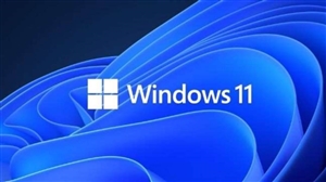 Windows 11 'ਤੇ ਚਲਾਉਣਾ ਚਾਹੁੰਦੇ ਹੋ ਐਂਡਰਾਇਡ ਐਪਸ ਤਾਂ ਇੱਥੇ ਜਾਣੋ ਚਲਾਉਣ ਦਾ ਤਰੀਕਾ
