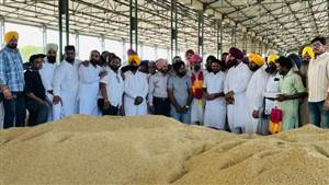 ਵਿਧਾਇਕ ਸਿੱਧੂ ਨੇ ਝੋਨੇ ਦੀ ਖਰੀਦ ਦੀ ਸ਼ੁਰੂਆਤ ਕਰਵਾਈ