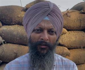 ਮੀਂਹ ਨਾਲ ਮੰਡੀਆਂ 'ਚ ਭਿੱਜੇ ਝੋਨੇ ਨੂੰ ਸੁਕਾਉਣ ਲਈ ਕਿਸਾਨ ਤੇ ਆੜ੍ਹਤੀ ਕਰ ਰਹੇ ਜੱਦੋ ਜਹਿਦ