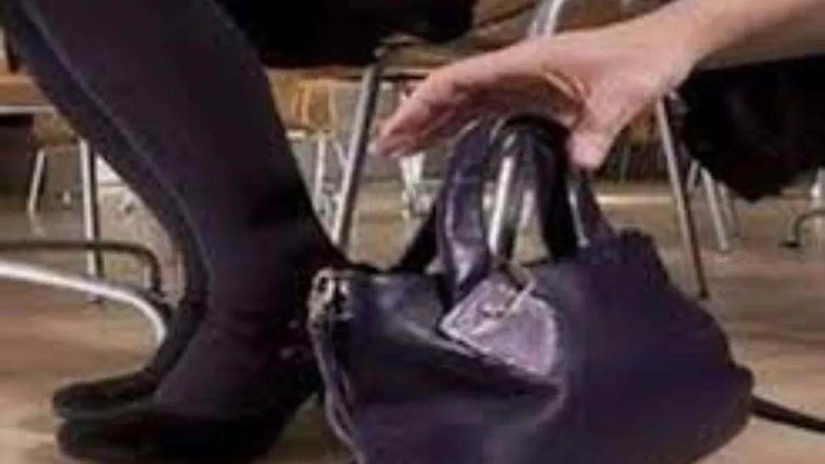 ਲਾੜੀ ਦੀ ਮਾਂ ਦੇ ਬੈਗ 'ਚੋਂ ਸੋਨੇ ਦੇ ਗਹਿਣੇ ਚੋਰੀ, ਸ਼ਗਨਾ ਵਾਲੇ ਲਿਫਾਫਿਆਂ 'ਤੇ ਵੀ ਕੀਤਾ ਹੱਥ ਸਾਫ; ਦਿਓਰ-ਭਾਬੀ 'ਤੇ ਮੁਕੱਦਮਾ ਦਰਜ