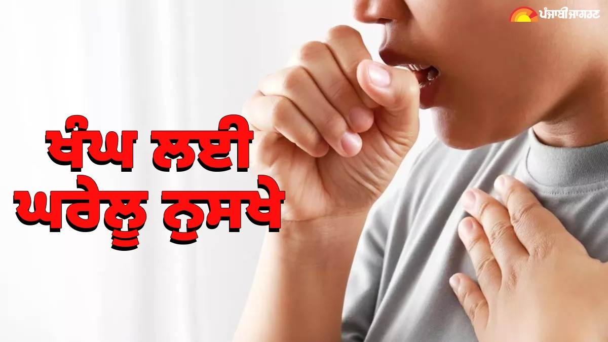 Cough Home Remedies: ਖੰਘ-ਖੰਘ ਕੇ ਹੋ ਗਏ ਹੋ ਪਰੇਸ਼ਾਨ ਤਾਂ ਇਨ੍ਹਾਂ ਘਰੇਲੂ ਨੁਸਖਿਆਂ ਨਾਲ ਜਲਦੀ ਪਾਓ ਰਾਹਤ