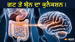 ਕਿਉਂ 'ਗਟ' ਨੂੰ ਆਖਿਆ ਜਾਂਦੈ ਸਰੀਰ ਦਾ 'ਦੂਜਾ ਦਿਮਾਗ'? ਡਾਕਟਰ ਨੇ ਸਮਝਾਇਆ ਕਿਵੇਂ ਹਾਜ਼ਮਾ ਤੈਅ ਕਰਦਾ ਹੈ ਤੁਹਾਡਾ ਮੂਡ