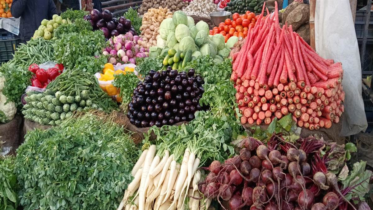 ਘਰਾਂ ਦੇ ਗਾਰਡਨ ਦੀਆਂ ਤਾਜ਼ੀਆਂ ਆਰਗੈਨਿਕ ਸਬਜੀਆਂ ਲਾਹੇਵੰਦ