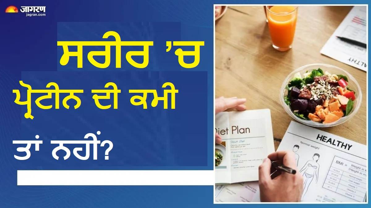 ਕੀ ਤੁਹਾਡੇ ਸਰੀਰ ਨੂੰ ਸਹੀ ਮਾਤਰਾ ’ਚ ਪ੍ਰੋਟੀਨ ਮਿਲ ਰਿਹਾ ਹੈ? ਕਮੀ ਹੋਣ 'ਤੇ ਸ਼ੁਰੂ ਹੋ ਸਕਦੀਆਂ ਹਨ ਇਹ 5 ਮੁਸ਼ਕਲਾਂ