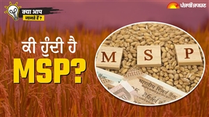 What Is MSP: ਕੀ ਹੁੰਦੀ ਹੈ MSP ਅਤੇ ਕਿਵੇਂ ਤੈਅ ਕਰਦੀ ਹੈ ਸਰਕਾਰ, ਦਿੱਲੀ ਕੂਚ ਕਰ ਰਹੇ ਕਿਸਾਨਾਂ ਦੀ ਇਹ ਵੀ ਹੈ ਇਕ ਮੰਗ