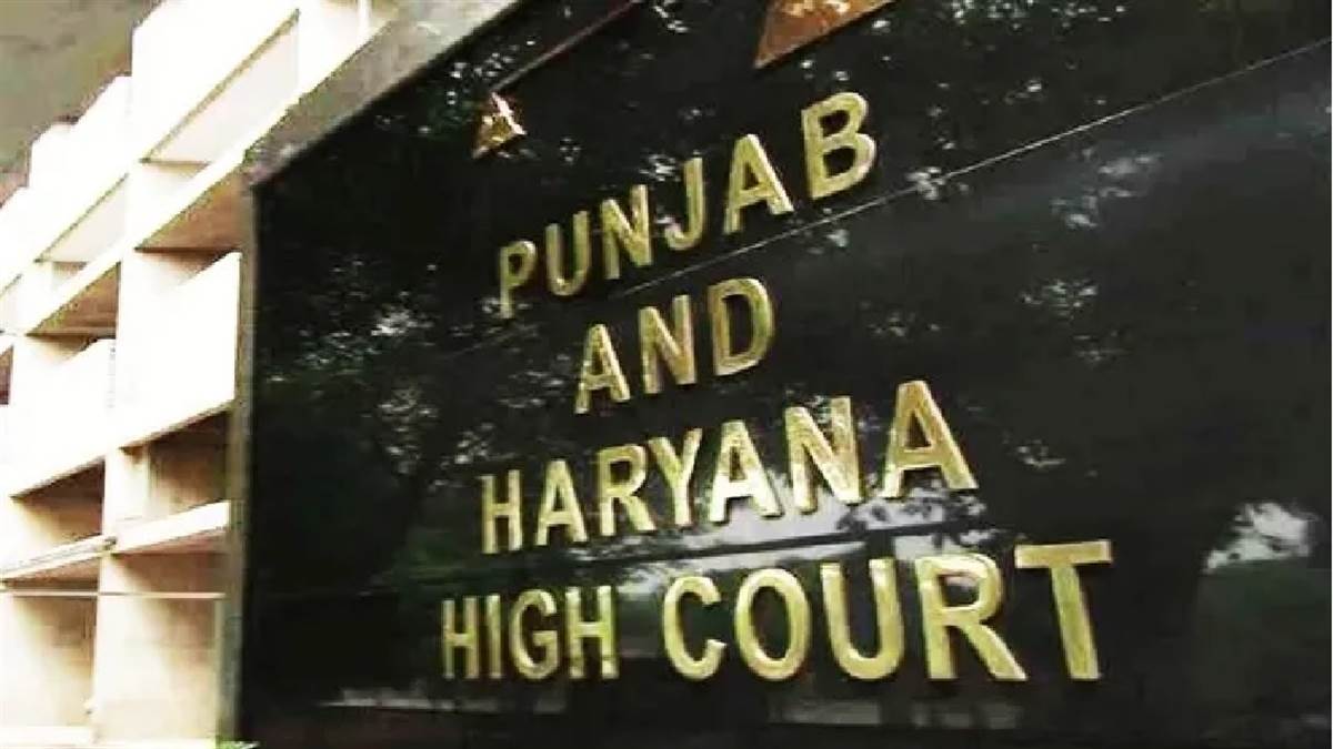 ਪੰਜਾਬ 'ਚ ਸੇਵਾਮੁਕਤ ਵੈਟਰਨਰੀ ਡਾਕਟਰਾਂ ਲਈ ਝਟਕਾ : ਹਾਈ ਕੋਰਟ ਨੇ ਇਨਾਂ ਕਾਰਨਾਂ ਦਾ ਹਵਾਲਾ ਦਿੰਦੇ ਹੋਏ ਪੈਨਸ਼ਨ ਲਾਭਾਂ 'ਚ NPA ਸ਼ਾਮਲ ਕਰਨ ਦੀ ਮੰਗ ਕੀਤੀ ਰੱਦ