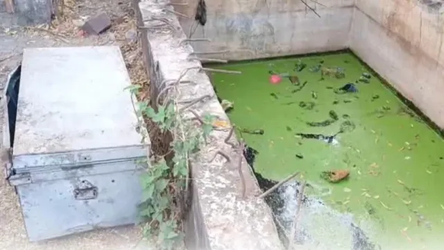 ਪਾਣੀ ਦੇ ਟੈਂਕ 'ਚ ਮਿਲਿਆ ਬਕਸਾ, ਅੰਦਰ ਸੀ ਔਰਤ ਦੀ ਤਿੰਨ ਦਿਨ ਪੁਰਾਣੀ ਲਾਸ਼; ਹੱਥ ਦੇ ਟੈਟੂ ਨਾਲ ਖੁੱਲ੍ਹੇਗਾ ਰਾਜ਼?