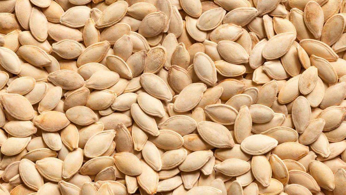 magazine sehat pumpkin seeds control many diseases do not throw them  prepare this home recipe