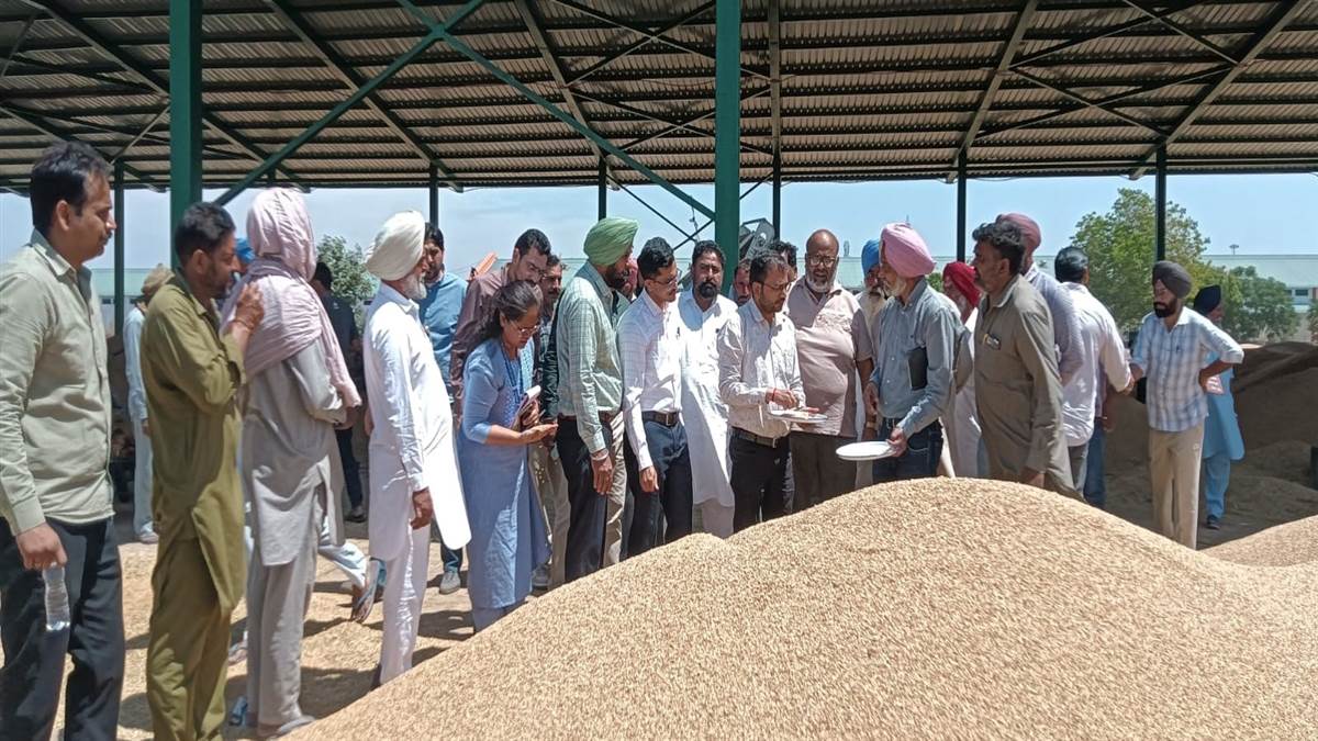 ਕੇਂਦਰ ਸਰਕਾਰ ਦੀਆਂ ਟੀਮਾਂ ਨੇ ਮੰਡੀਆਂ ’ਚੋਂ ਕਣਕ ਦੇ ਨਮੂਨੇ ਲਏ