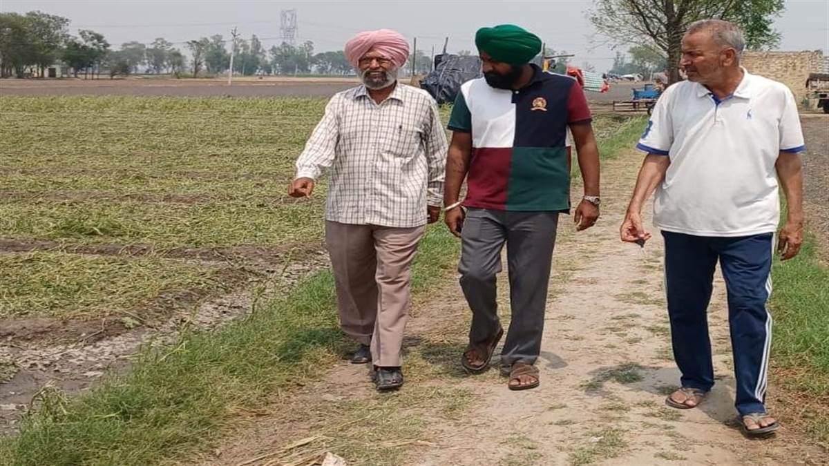ਹਨੇਰੀ ਨਾਲ ਹੋਏ ਨੁਕਸਾਨ ਦਾ ਲਿਆ ਜਾਇਜ਼ਾ