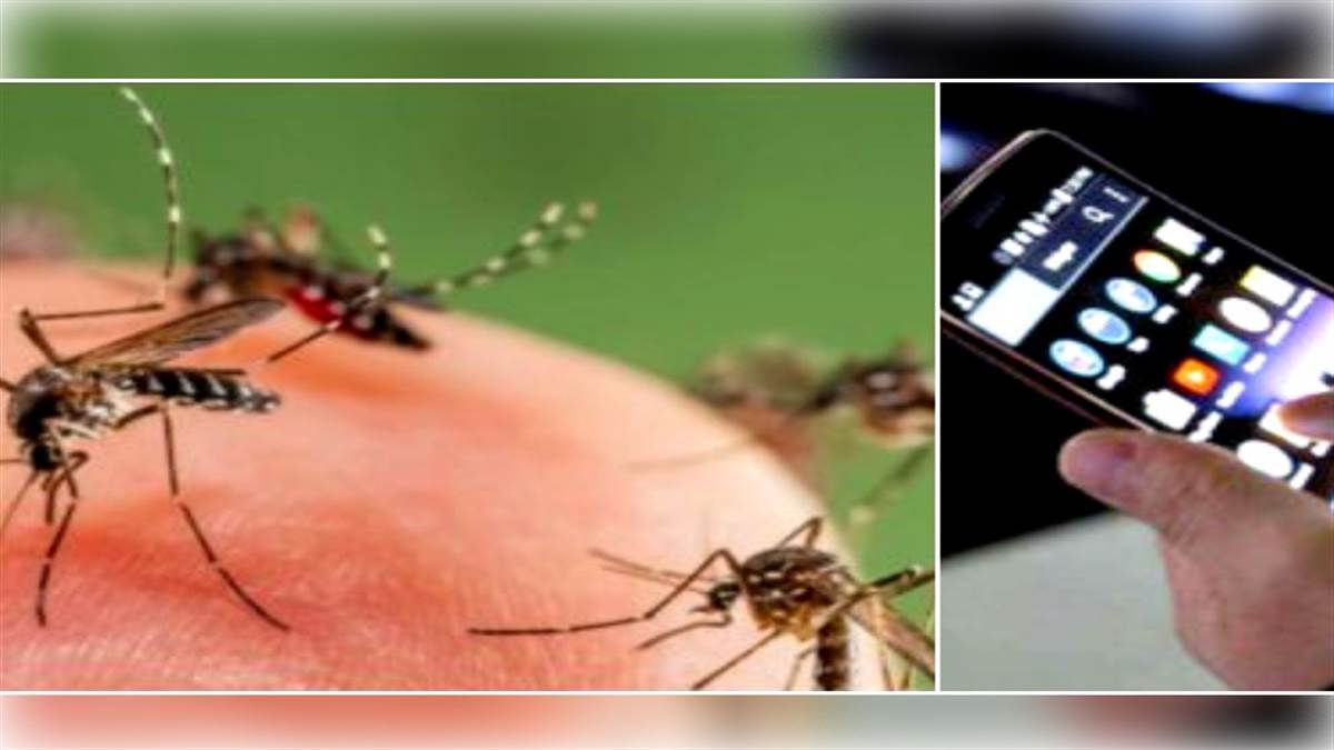 Tech News Mosquitoes have disturbed you so immediately download this App in your phone you will see the effect