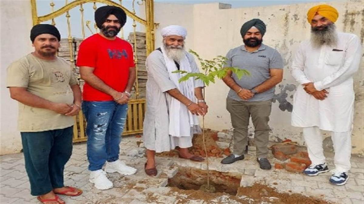 The campaign to plant saplings for the purity of the environment has started