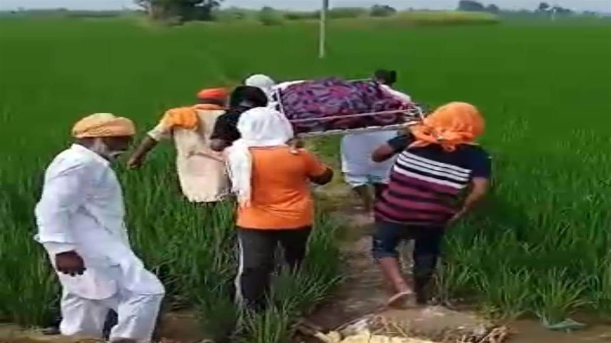 Shameful incident A person was cremated after passing through the paddy crop the path of two karmas was forcibly plowed by the upper castes