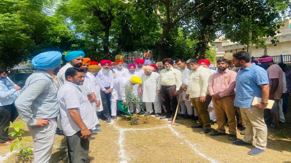 ਸ਼ਹੀਦ ਭਗਤ ਸਿੰਘ ਹਰਿਆਵਲ ਲਹਿਰ ਤਹਿਤ ਮਾਰਕੀਟ ਕਮੇਟੀ ਵਿਖੇ ਲਗਾਏ ਬੂਟੇ