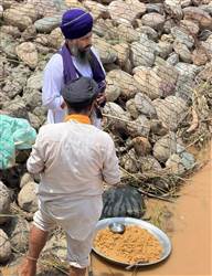ਦਰਿਆ ਬਿਆਸ ਦੇ ਤੇਵਰਾਂ ਨੇ ਵਧਾਈ ਮੰਡ ਵਾਸੀਆਂ ਦੀ ਧੜਕਣ